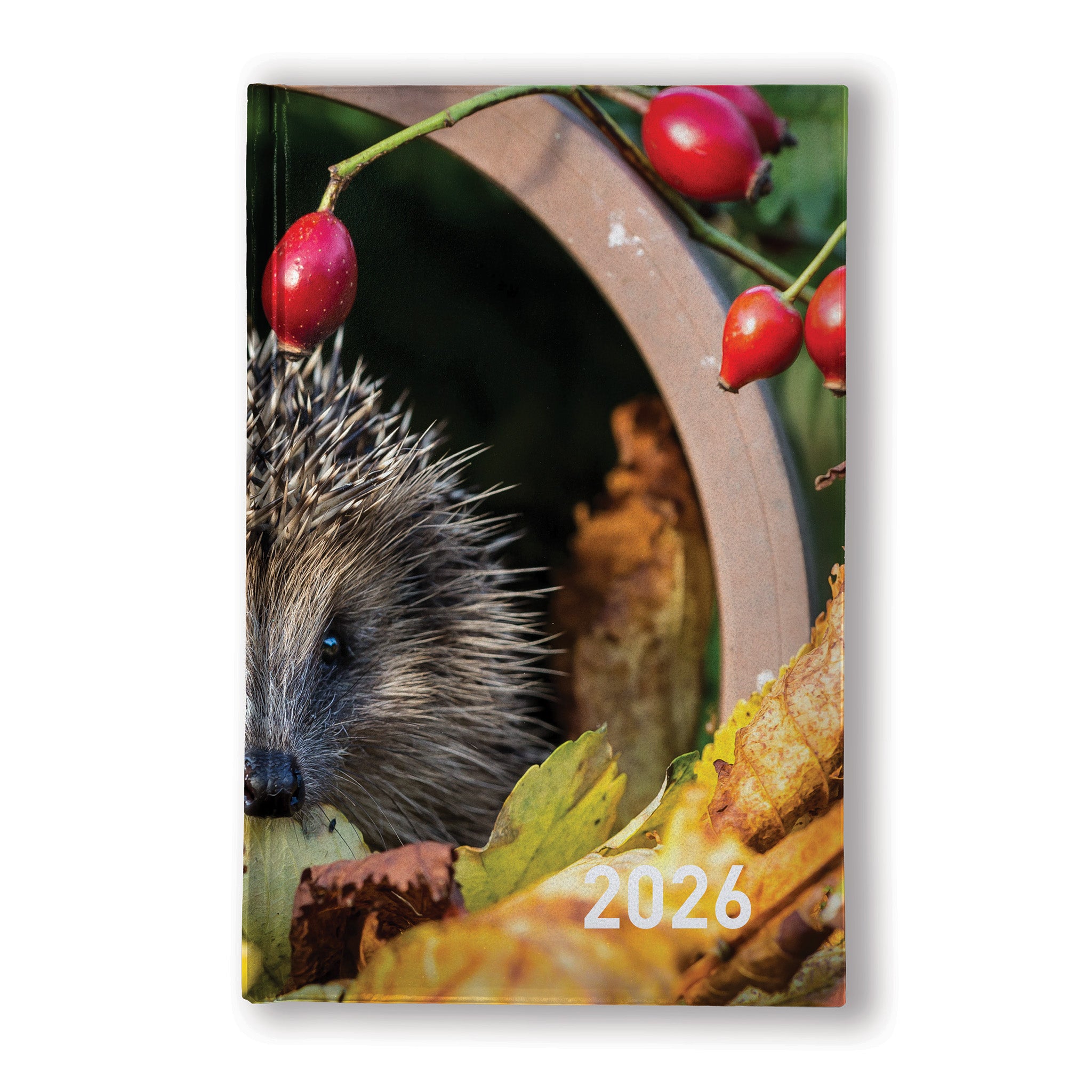 Graphic Prints A5 Diary, Week to View, Full Colour